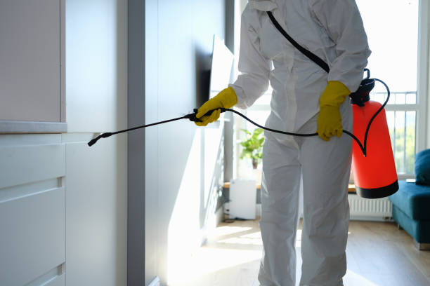 Herricks, NY Mold Removal Company